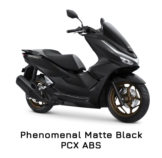 variant-web-abs-phenomenal-matte-black